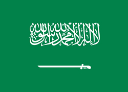 icon-saudi-arabia